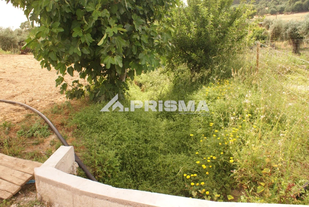 Quinta para Venda em Pero Viseu Foto 32