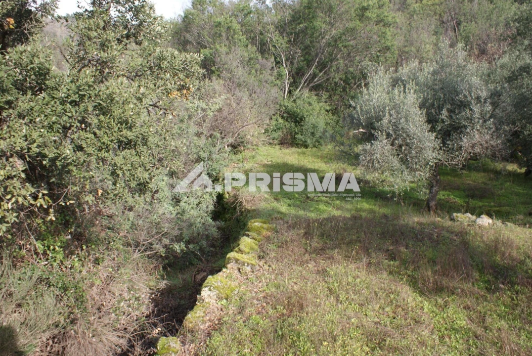 Quinta para Venda em Pero Viseu Foto 8