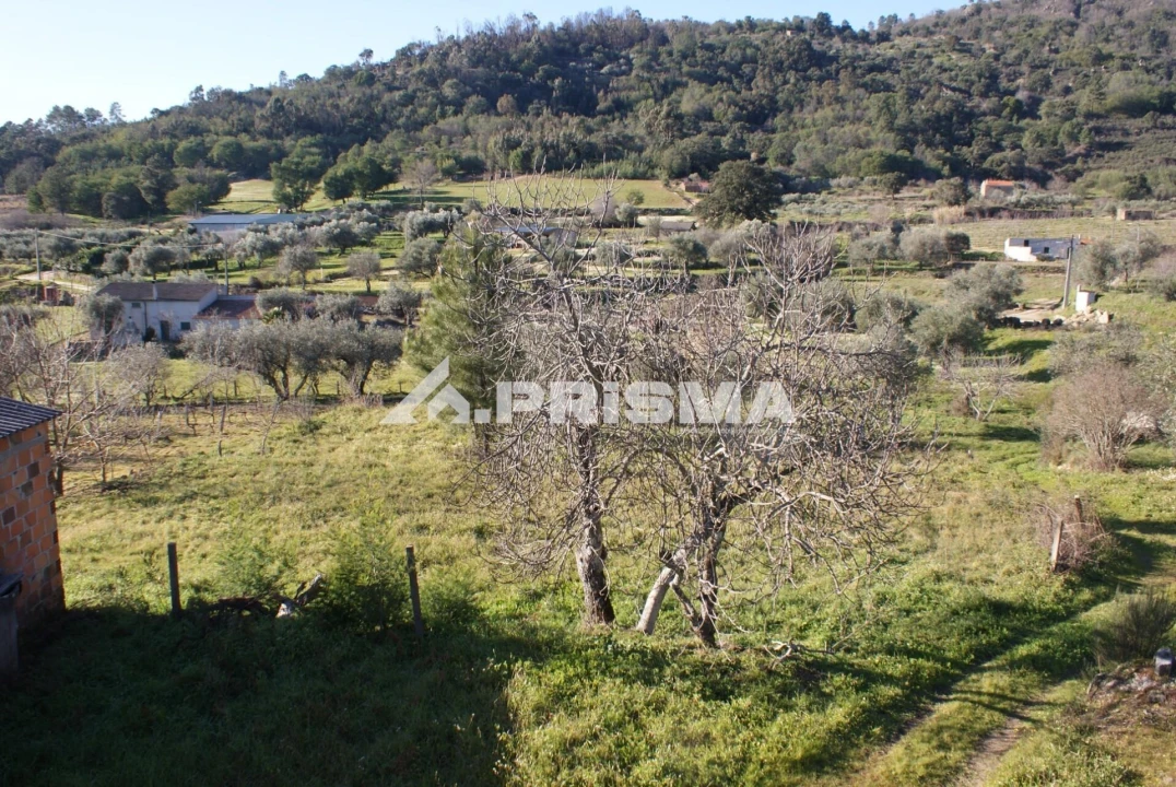 Quinta para Venda em Pero Viseu Foto 14