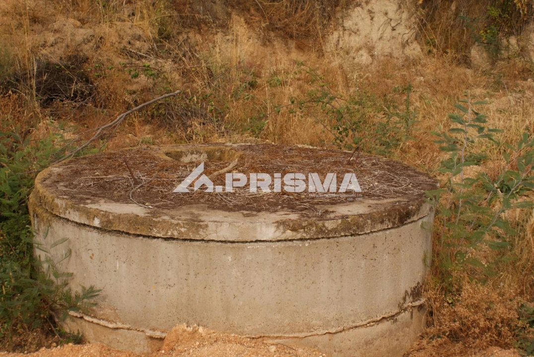 Quinta para Venda em Pero Viseu Foto 50