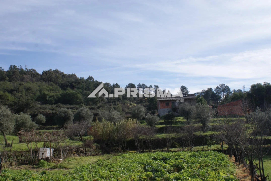 Quinta para Venda em Pero Viseu Foto 1