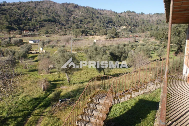 Quinta para Venda em Pero Viseu Foto 15