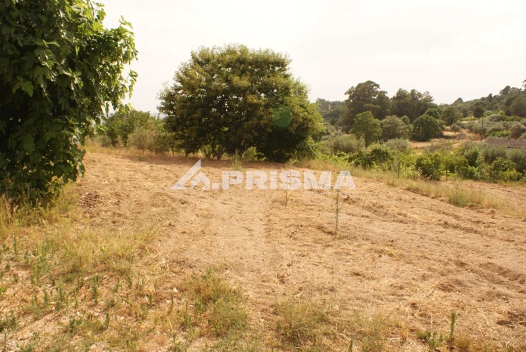 Quinta para Venda em Pero Viseu Foto 29