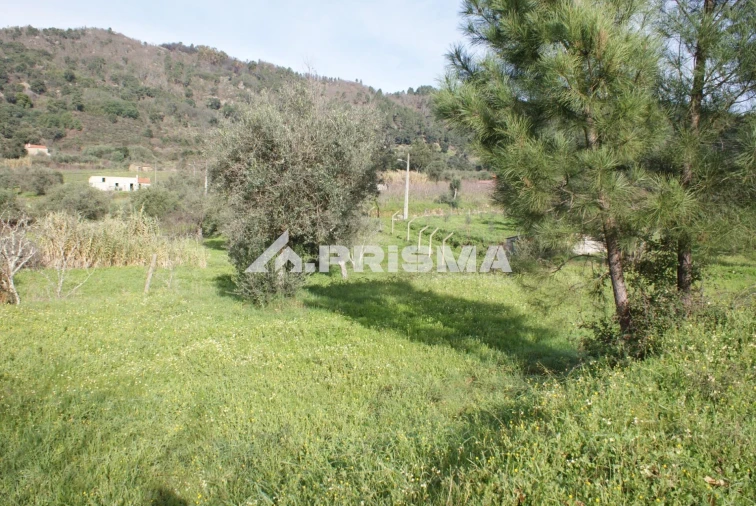 Quinta para Venda em Pero Viseu Foto 5