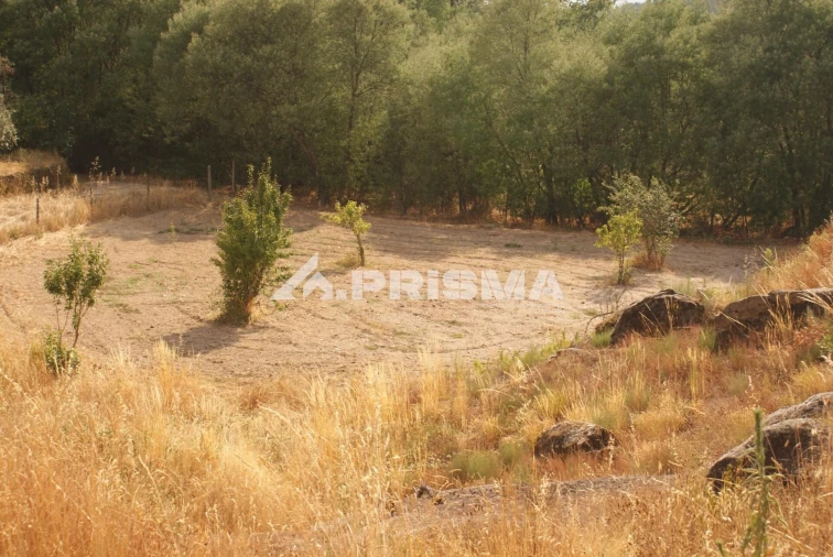 Quinta para Venda em Pero Viseu Foto 51