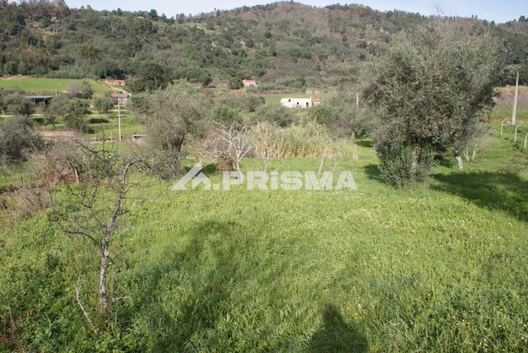 Quinta para Venda em Pero Viseu Foto 4