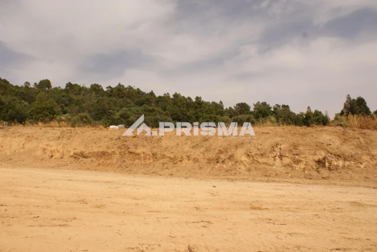 Quinta para Venda em Pero Viseu Foto 28