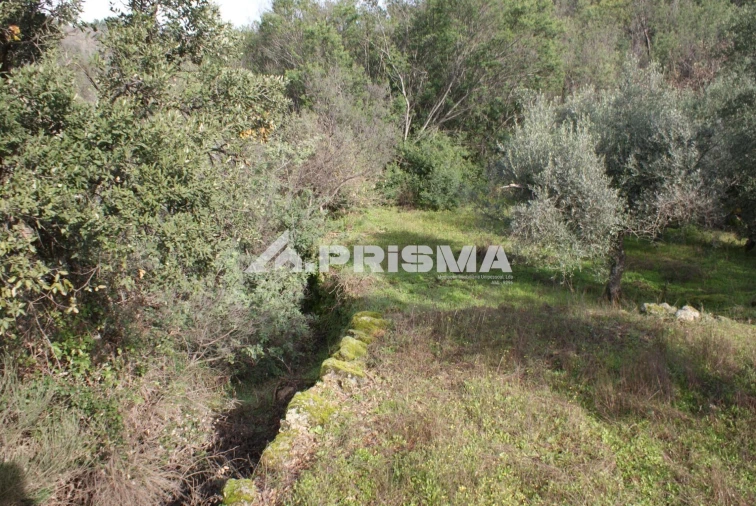 Quinta para Venda em Pero Viseu Foto 8