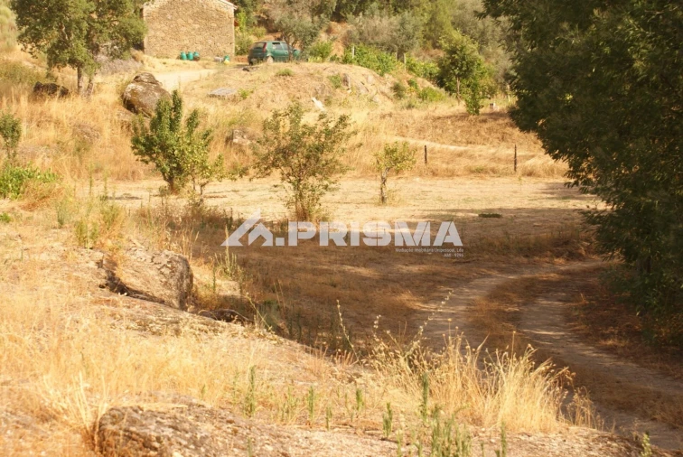 Quinta para Venda em Pero Viseu Foto 45