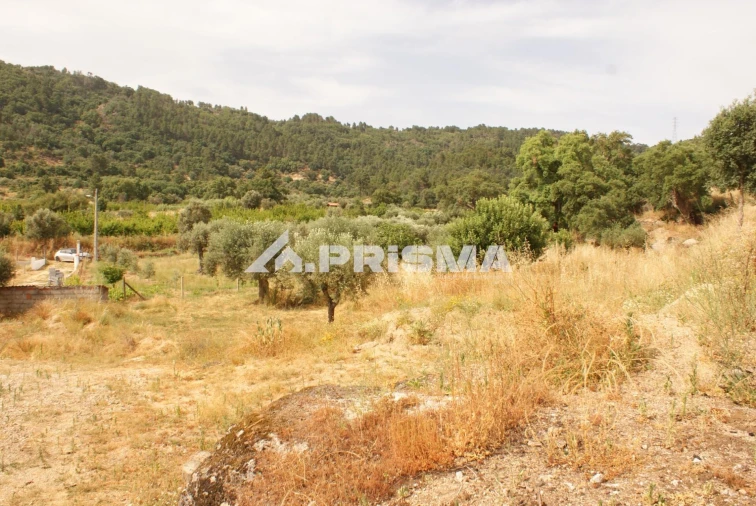 Quinta para Venda em Pero Viseu Foto 17