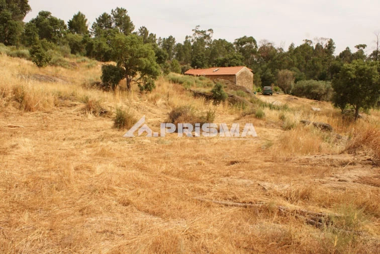 Quinta para Venda em Pero Viseu Foto 21