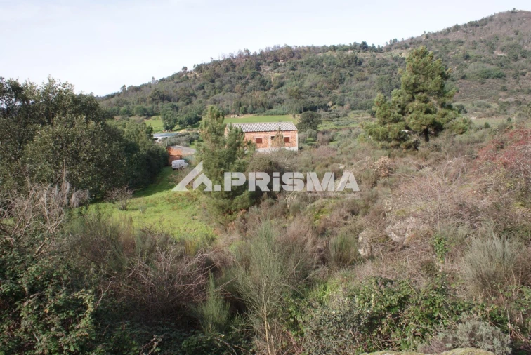 Quinta para Venda em Pero Viseu Foto 6