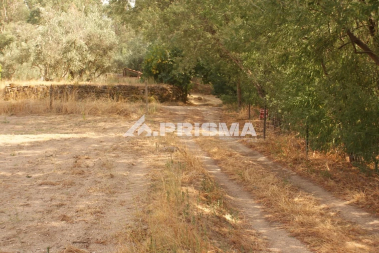 Quinta para Venda em Pero Viseu Foto 55