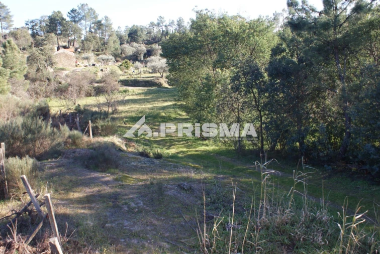 Quinta para Venda em Pero Viseu Foto 12