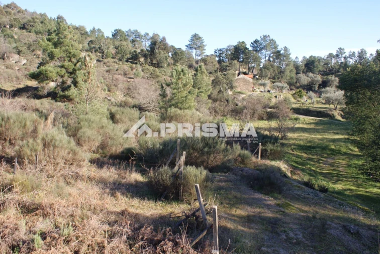 Quinta para Venda em Pero Viseu Foto 11