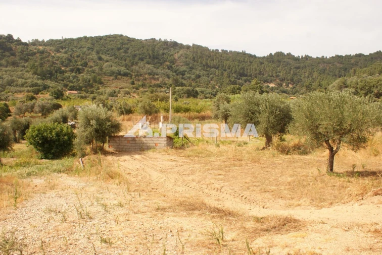 Quinta para Venda em Pero Viseu Foto 43