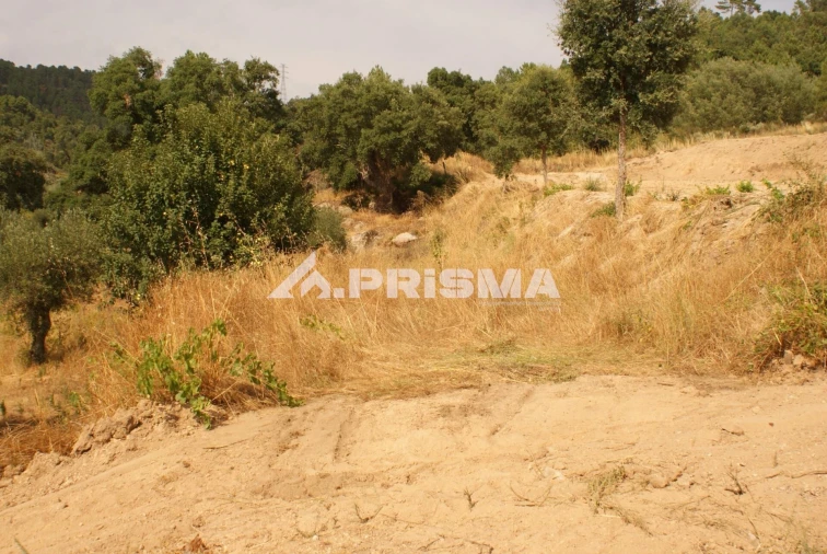 Quinta para Venda em Pero Viseu Foto 42