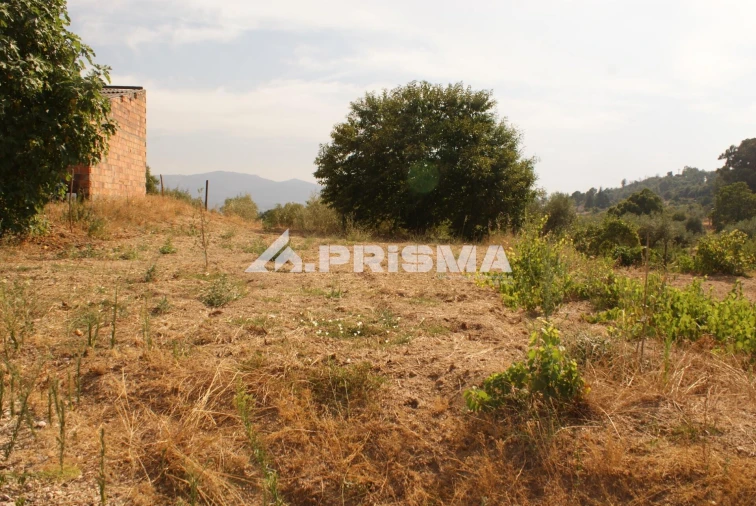 Quinta para Venda em Pero Viseu Foto 41