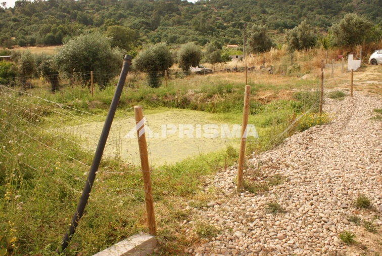 Quinta para Venda em Pero Viseu Foto 33