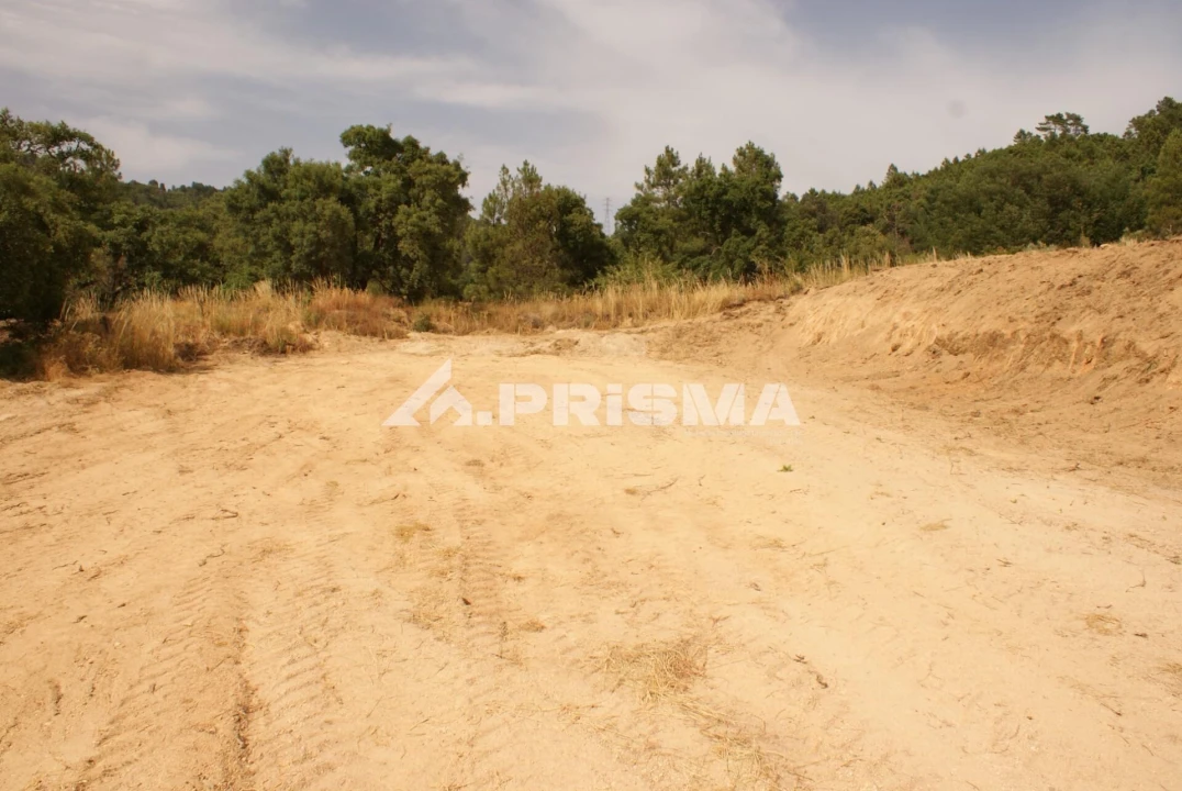 Quinta para Venda em Pero Viseu Foto 26