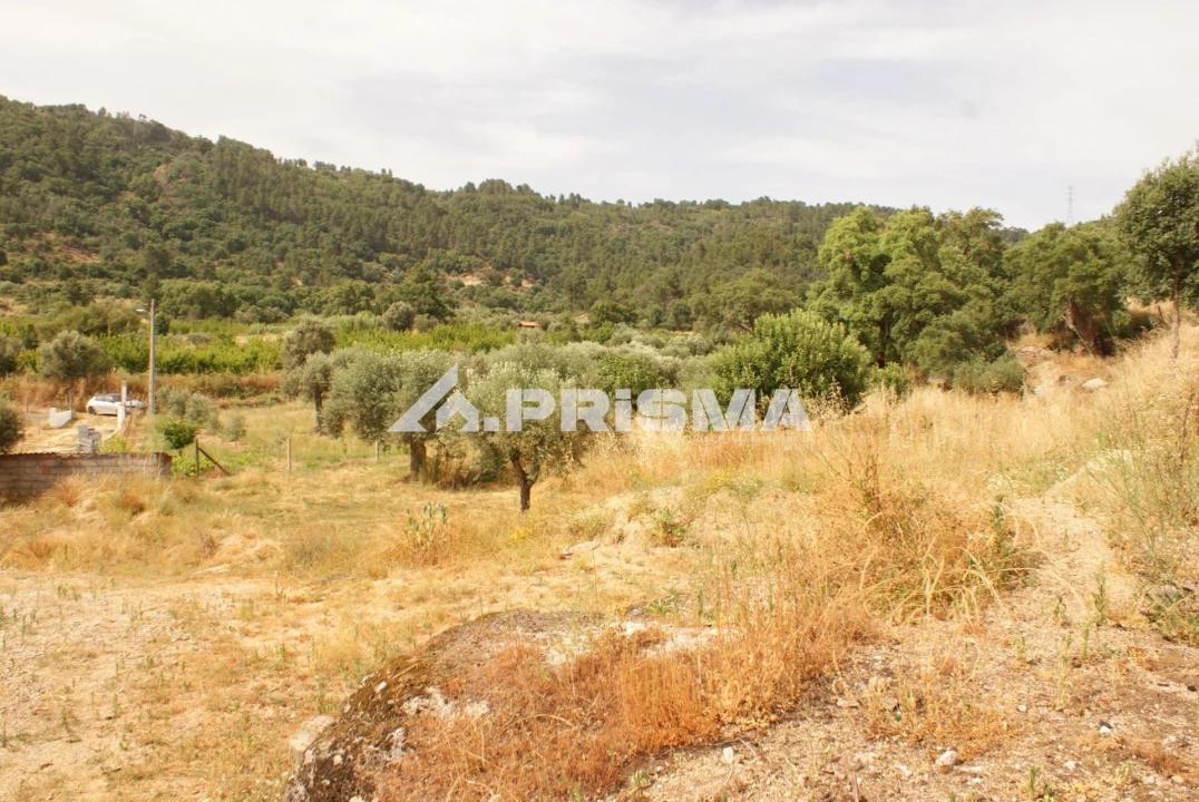 Quinta para Venda em Pero Viseu Foto 17