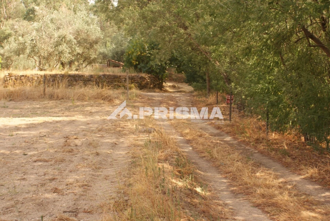 Quinta para Venda em Pero Viseu Foto 55