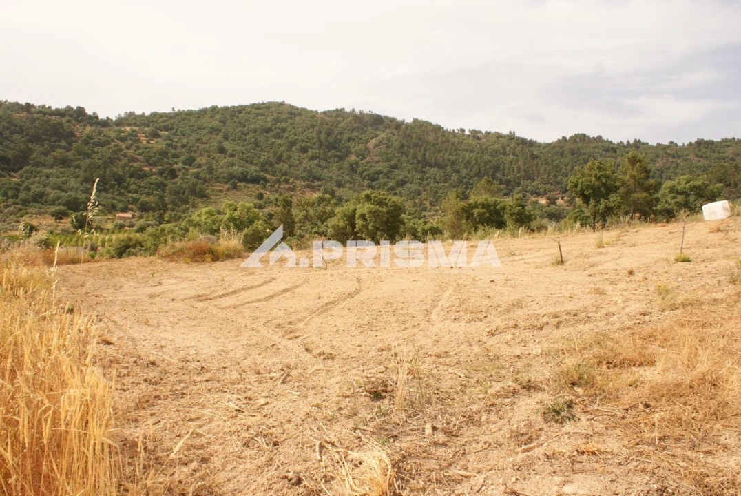 Quinta para Venda em Pero Viseu Foto 23