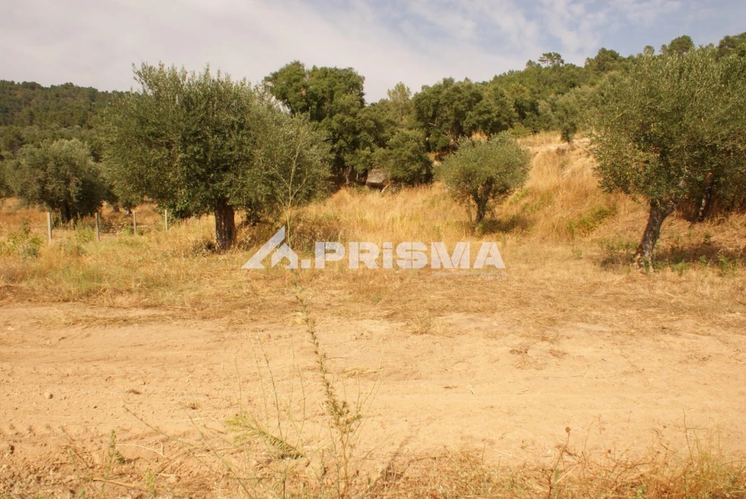 Quinta para Venda em Pero Viseu Foto 39