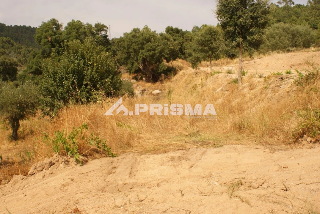 Quinta para Venda em Pero Viseu Foto 42