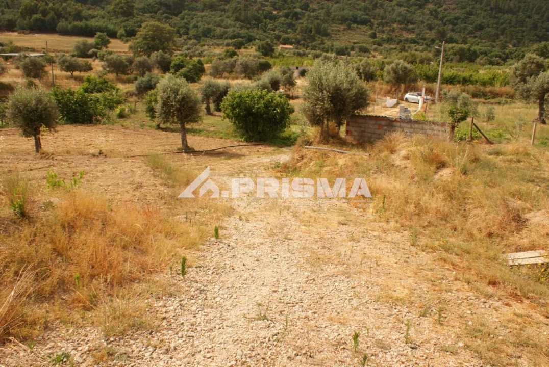 Quinta para Venda em Pero Viseu Foto 30