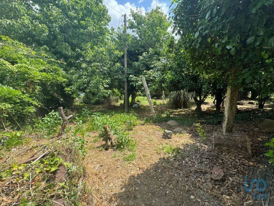 Moradia T3 para Venda em Mazedo e Cortes Foto 14