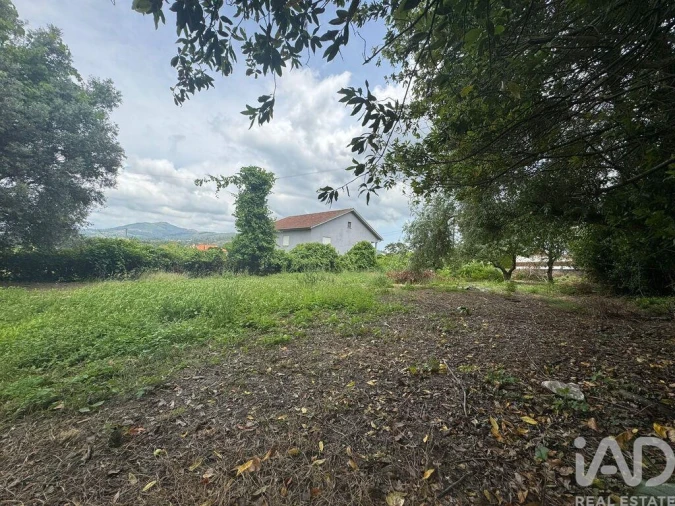 Moradia T3 para Venda em Mazedo e Cortes Foto 15