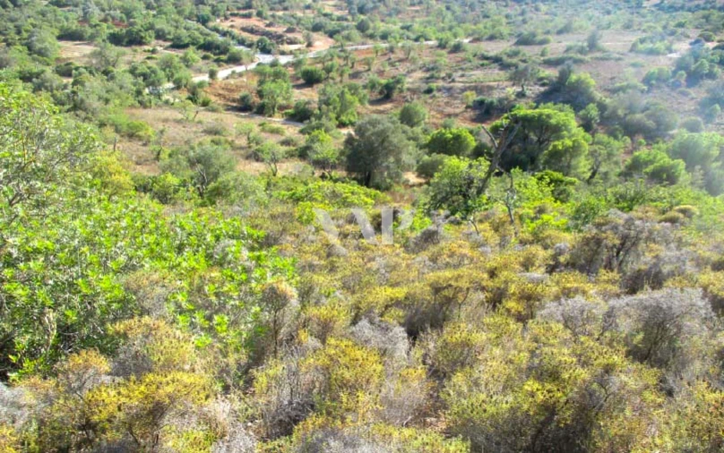 Terreno para Venda em Quarteira Foto 4