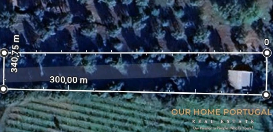 Terreno para Venda em Loule (São Clemente) Planta 1