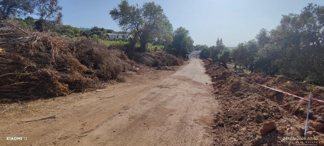 Terreno para Venda em Loule (São Clemente) Foto 11
