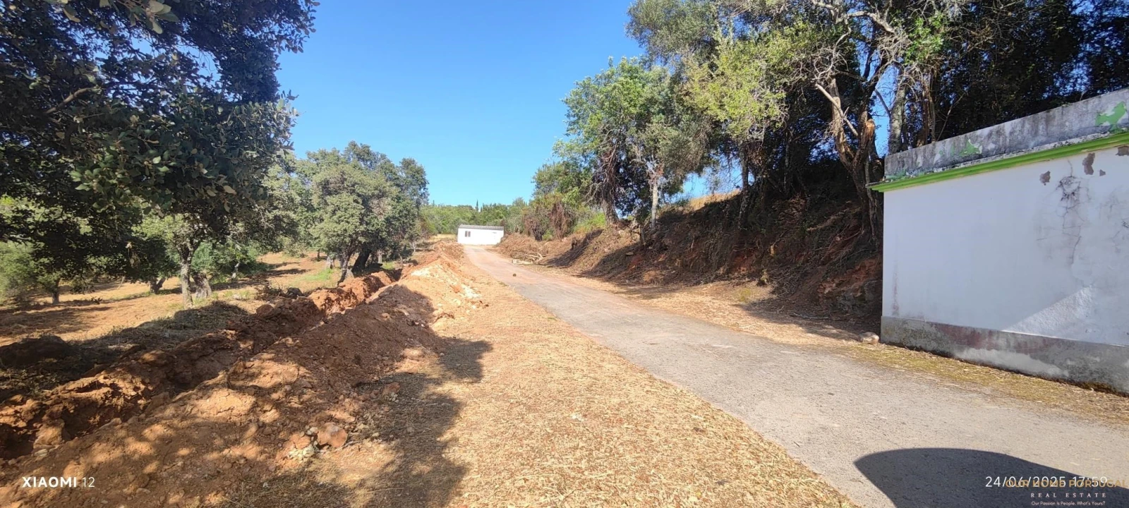 Terreno para Venda em Loule (São Clemente) Foto 10