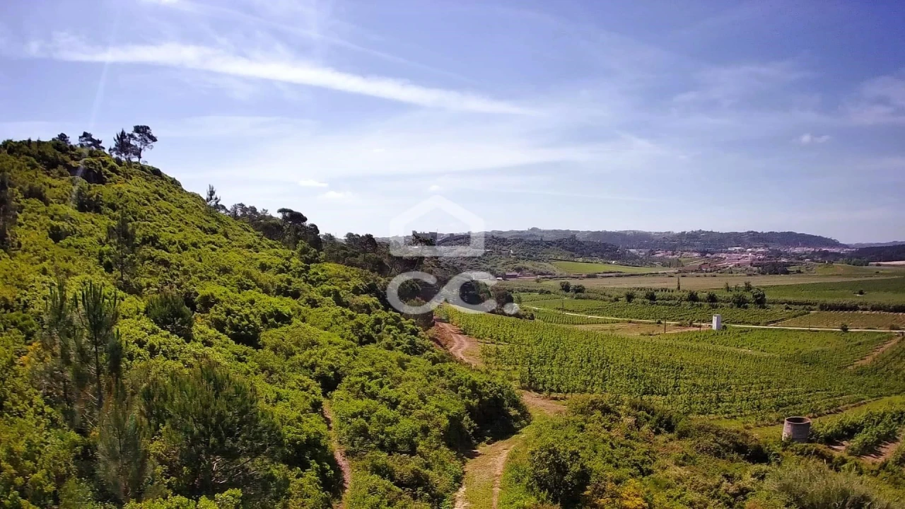 Terreno para Venda em Santa Maria, São Pedro e Sobral da Lagoa Foto 9