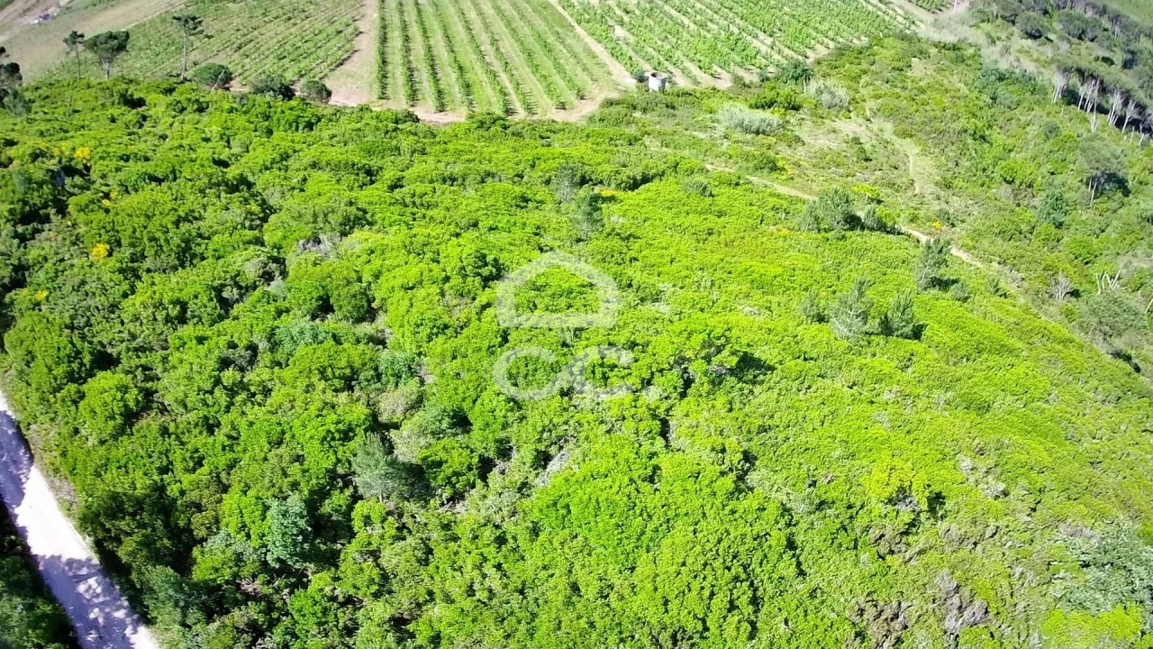 Terreno para Venda em Santa Maria, São Pedro e Sobral da Lagoa Foto 1