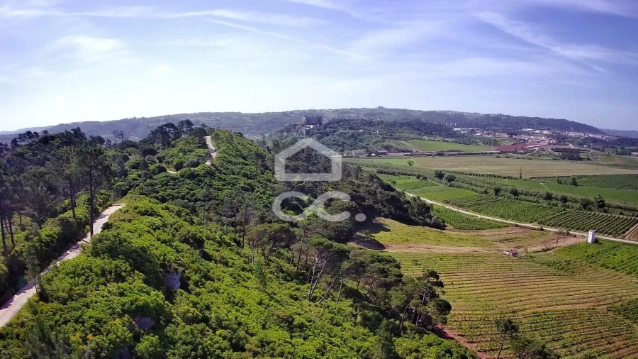 Terreno para Venda em Santa Maria, São Pedro e Sobral da Lagoa Foto 11