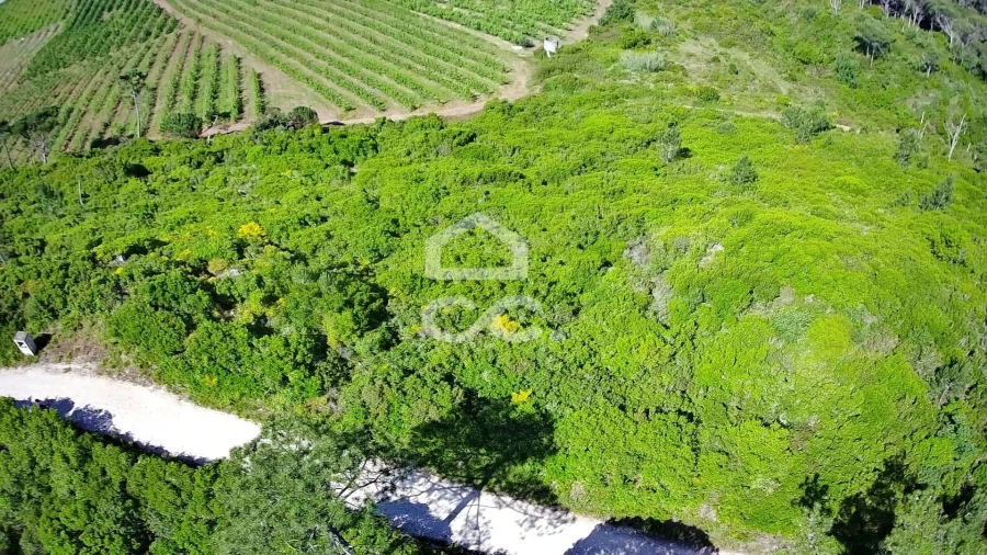 Terreno para Venda em Santa Maria, São Pedro e Sobral da Lagoa Foto 12