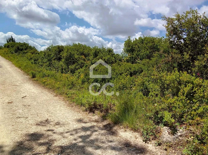 Terreno para Venda em Santa Maria, São Pedro e Sobral da Lagoa Foto 6