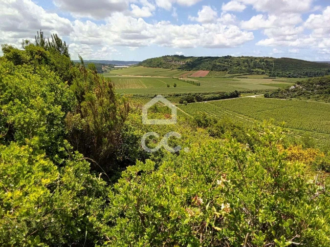 Terreno para Venda em Santa Maria, São Pedro e Sobral da Lagoa Foto 3