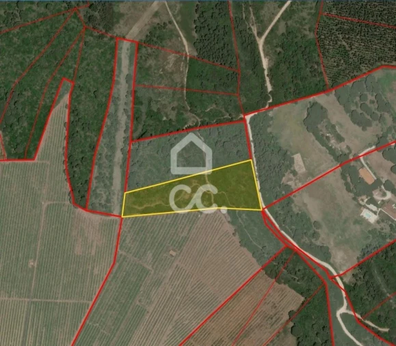 Terreno para Venda em Santa Maria, São Pedro e Sobral da Lagoa Foto 13