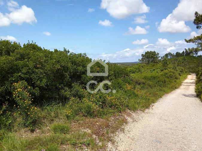 Terreno para Venda em Santa Maria, São Pedro e Sobral da Lagoa Foto 5