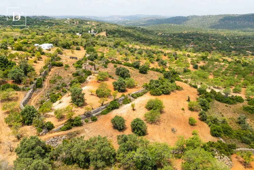 Terreno para Venda em Loule (São Clemente) Foto 18