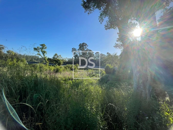 Terreno para Venda em Espinho Foto 3