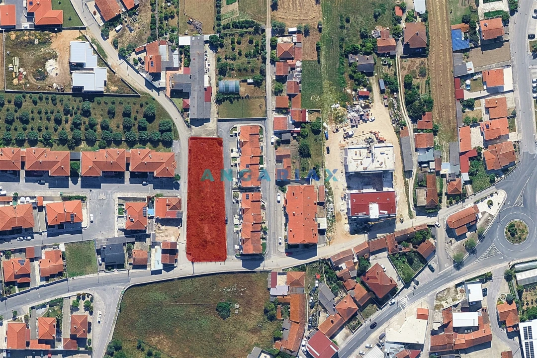 Terreno para Venda em Batalha Foto 11