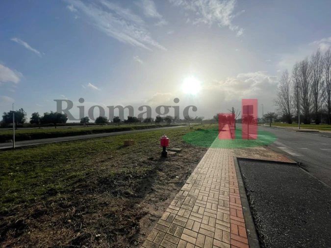 Terreno para Venda em São João Baptista Foto 24