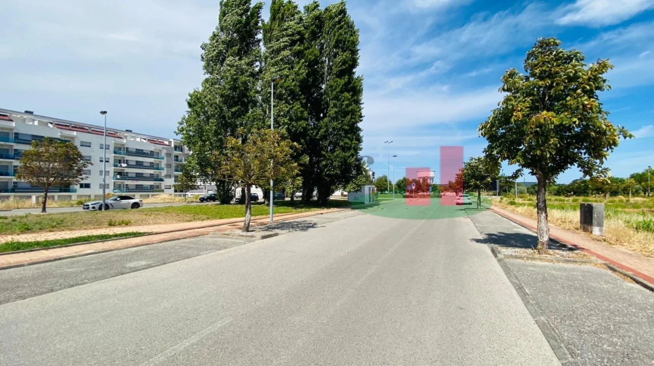 Terreno para Venda em São João Baptista Foto 4