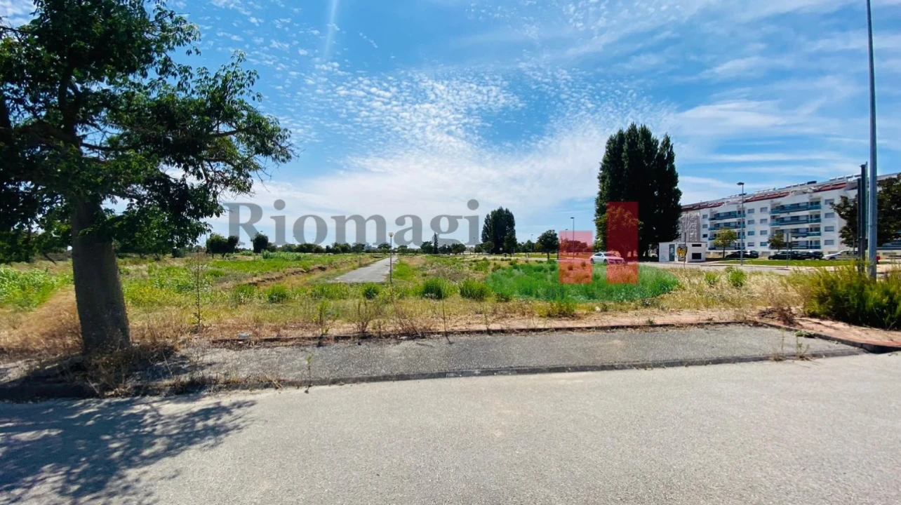 Terreno para Venda em São João Baptista Foto 5